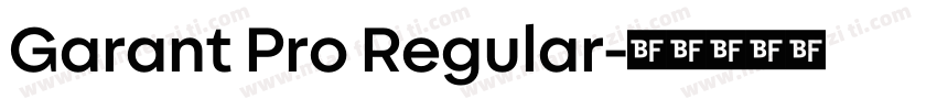 Garant Pro Regular字体转换